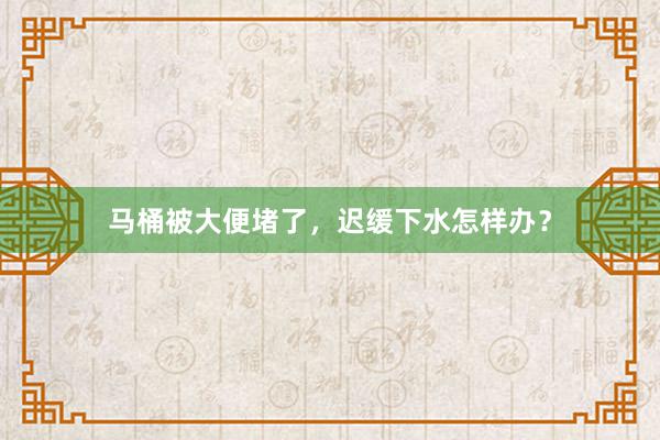马桶被大便堵了，迟缓下水怎样办？